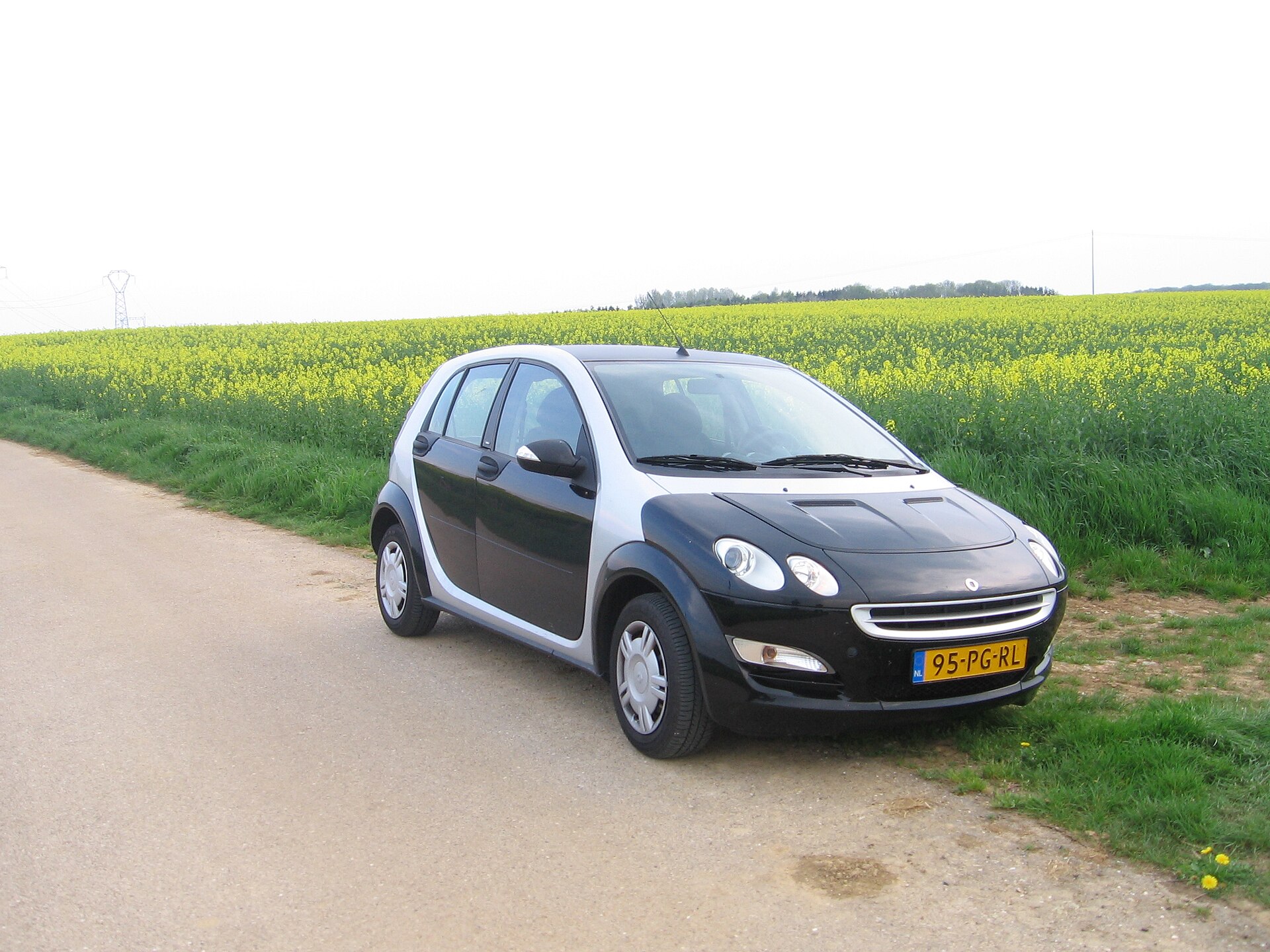 smart forfour W454 nera e argento fotografata su una strada di campagna